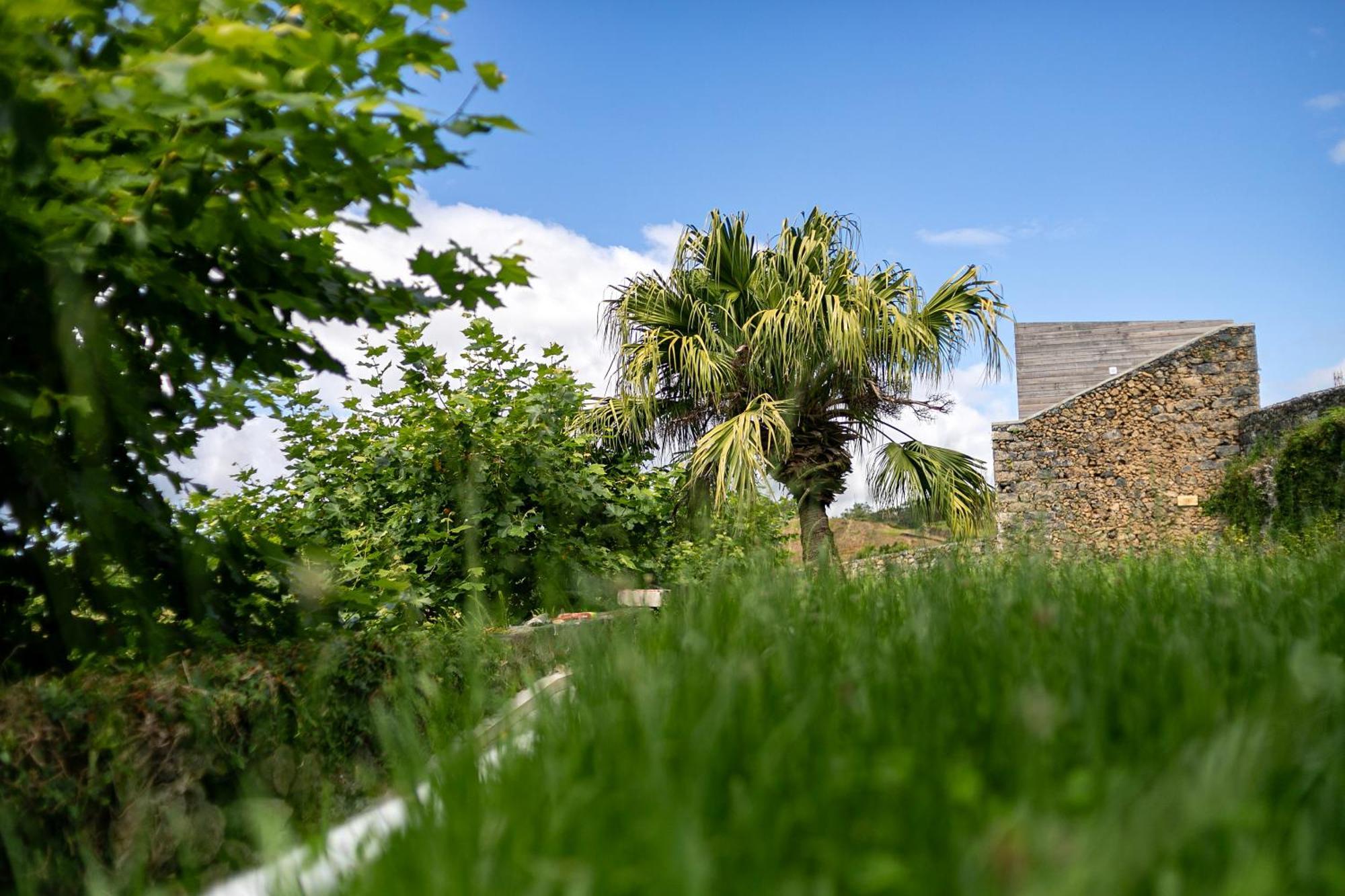 Solar Branco Eco Estate Vila Ponta Delgada Exterior foto